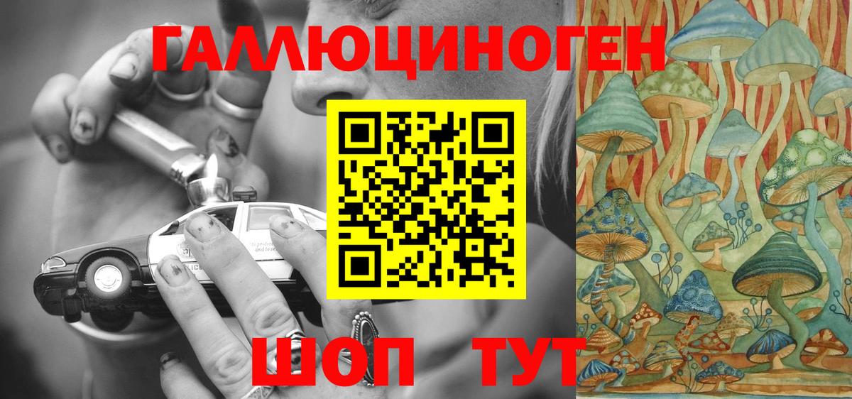 Галлюциногенные грибы Psilocybine cubensis Долгопрудный