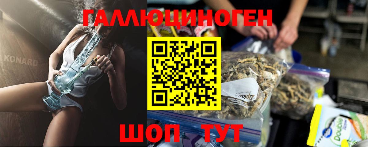Псилоцибиновые грибы MAGIC MUSHROOMS  Вход с VPN  Долгопрудный  Псилоцибиновые грибы мицелий 