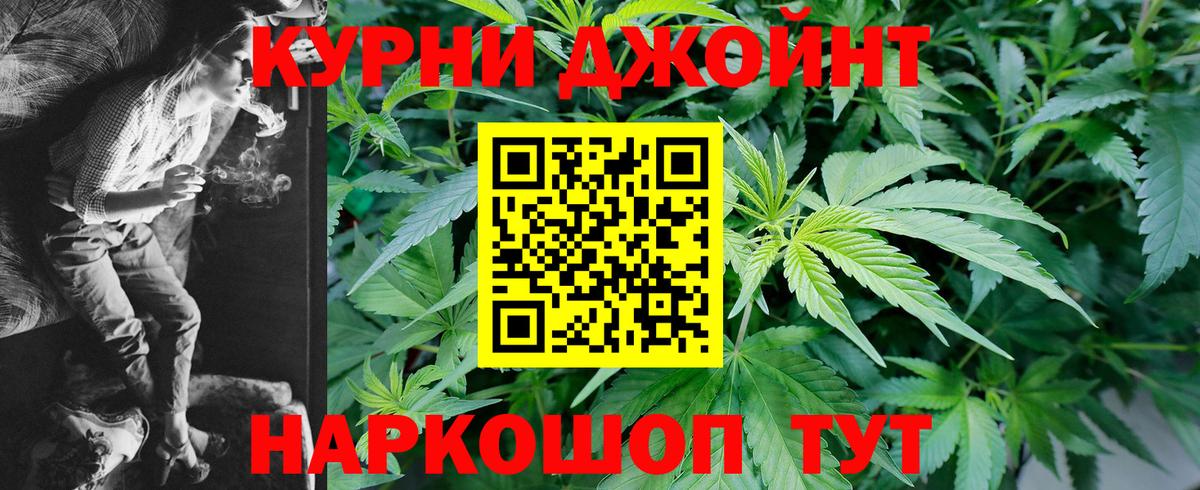 Бошки Шишки конопля  Вход с VPN  Конопля ГИДРОПОН  Долгопрудный 